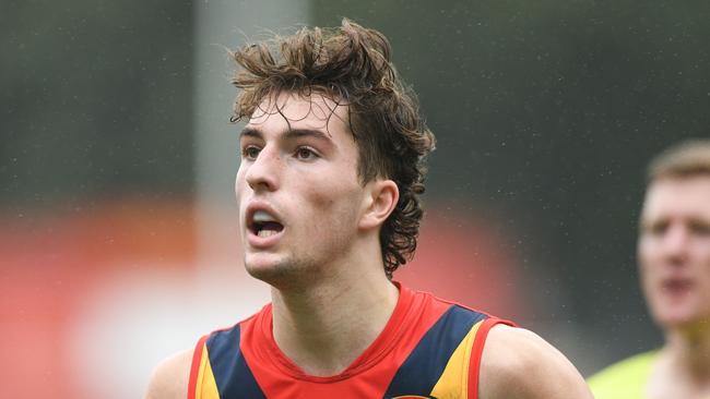 Adam D’Aloia has had a consistent season. Picture: AFL Photos