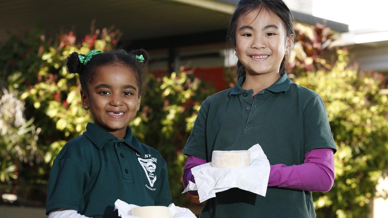 Eight Mile Plains State School makes cheese for Ekka | The Courier Mail