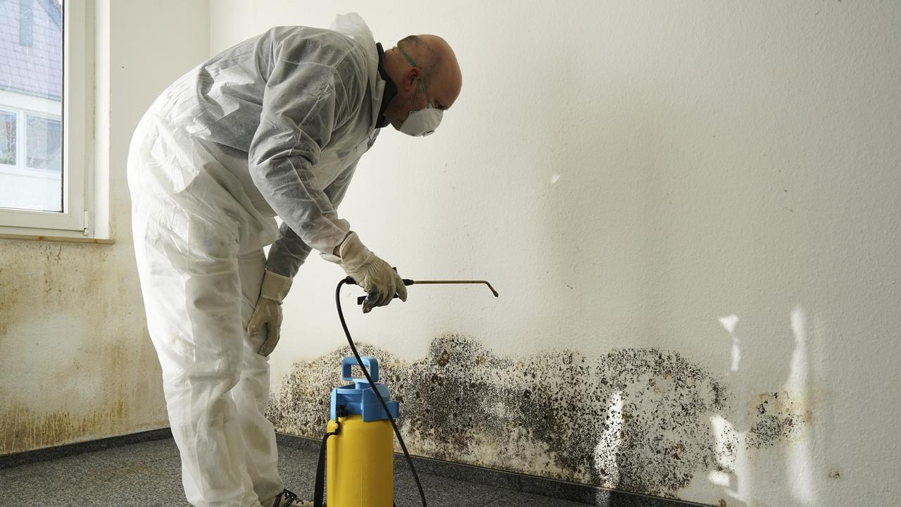 Alternatively, residents are encouraged to seek out a Mould professional to clean their home. Picture: Supplied.