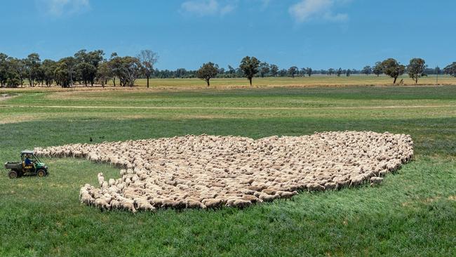 Green Park had been used for cereal, legume and oilseed crops, in addition to prime lamb and wool production.