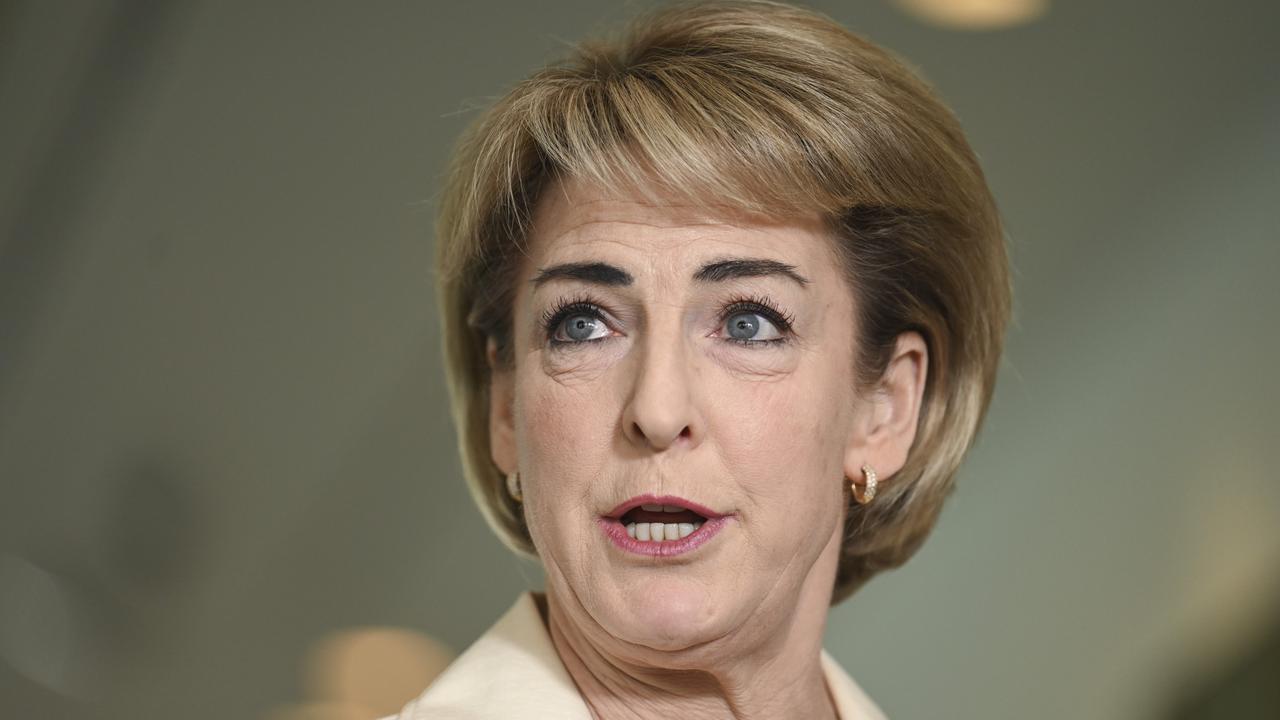 Senator Michaelia Cash says Labor. Picture: NewsWire / Martin Ollman