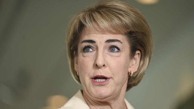 Senator Michaelia Cash says Labor. Picture: NewsWire / Martin Ollman