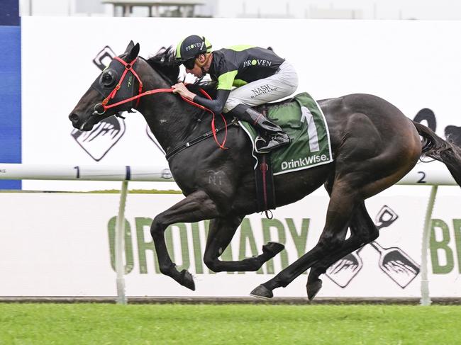 Private Eye wins the Festival Stakes at Rosehill Gardens on November 30, 2024. Picture: Bradley Photos