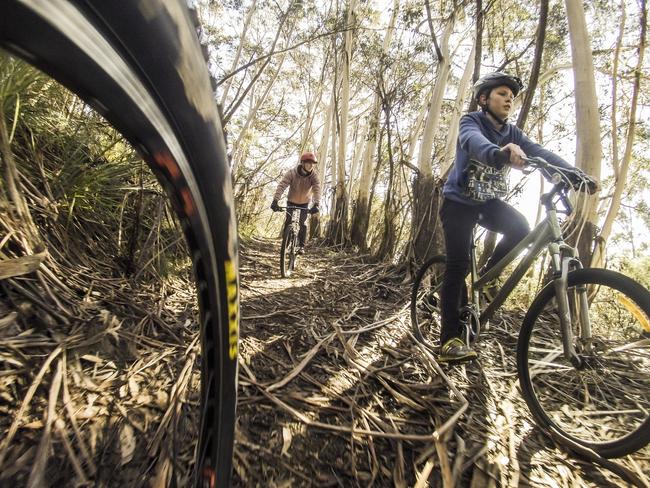 New bike tracks would make up some of the additional recreational facilities in the precinct.