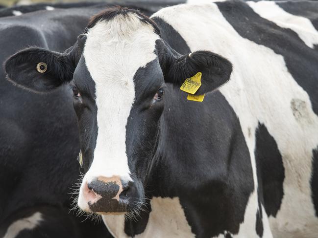 Ag Jobs Fair returns to Dalby for its third year