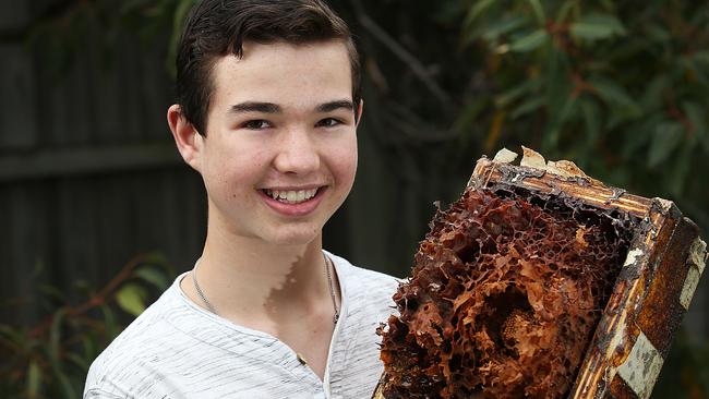 Isaac Mayer with his native stingless bees. Picture: AAP IMAGE/Danny Aarons