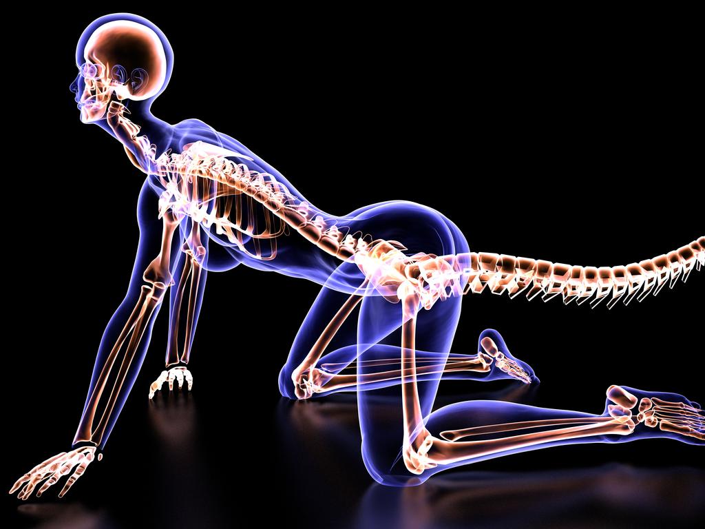 3D scanning of a mutant woman body skeletal, skeletal and muscular systems with side view. A mutant girl, whose skeletal structure is examined, wags his tail. You can see the animation movie of this image from my iStock video portfolio. Video number: 1363221395