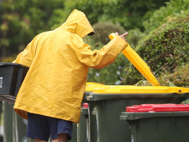 They’re watching the bins. Picture: John Grainger/File