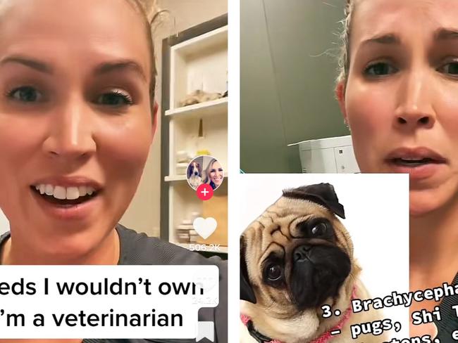 Alabama vet Dr Whitney Terrell revealed the best and worst dog breeds in two TikToks that went viral. Picture: TikTok / @dr.terrellpetvet