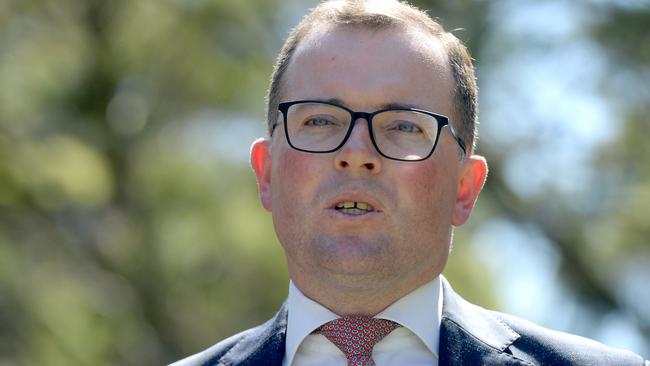 Minister for Agriculture Adam Marshall has criticised what he says are illogical policies by Queensland. Picture: NCA NewsWire/Jeremy Piper