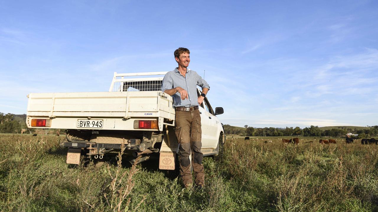 Nick this year started using mobile on-farm abattoir company Provenir, which buys and processes cattle on farms to sell meat under their brand. Nick says it sits well with his overall approach to farm management. Picture: Dannika Bonser