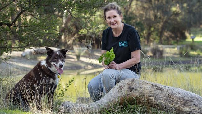 Jude Mayall and Barney the Kelpie. Picture: Zoe Phillips