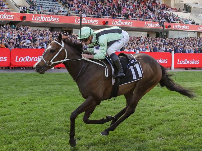 Francesco Guardi (IRE) ridden by James McDonald wins the McCaf? Moonee Valley Gold Cup at Moonee Valley Racecourse on October 22, 2022 in Moonee Ponds, Australia. (Photo by George Sal/Racing Photos via Getty Images)