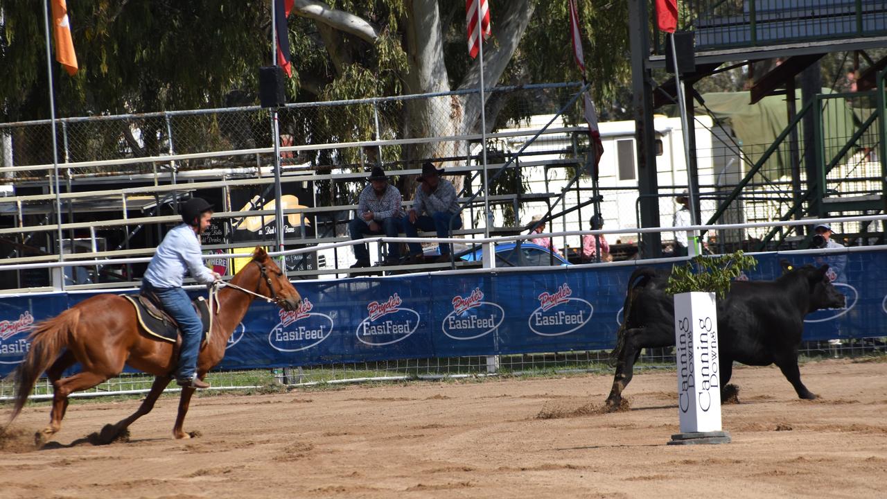 Max Turley riding Sniper in the Warwick Canning Downs Campdraft.