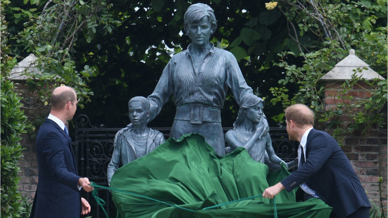 Princess Diana 'the missing piece' between Prince William and Harry