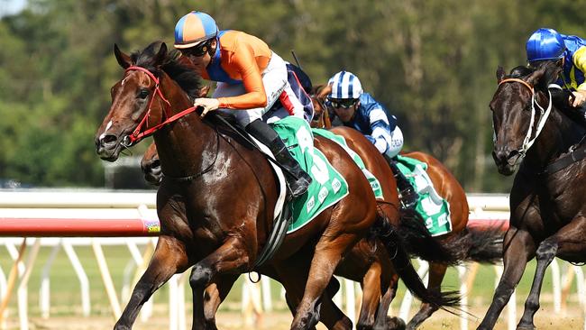 WYONG, AUSTRALIA - JANUARY 11: Adam Hyeronimus riding Headley Grange win Race 6 Central Coast Community News during Sydney Racing: Wyong 150th Anniversary And The Lakes Race Day at Wyong Racecourse on January 11, 2025 in Wyong, Australia. (Photo by Jeremy Ng/Getty Images)