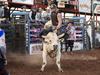 History made at the 50th Noonamah Tavern Rodeo