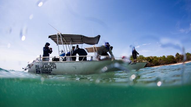 CDU - action shot of the Survey Team from the water. Picture: Charles Darwin University / Supplied.