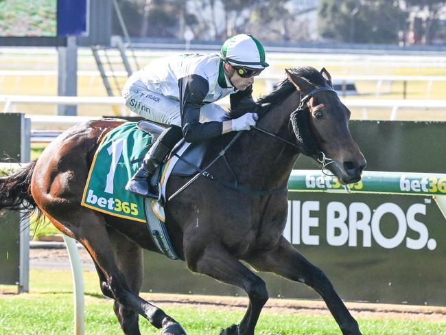 Dom ridden by Blake Shinn wins the UAA Group Maiden Plate at Geelong Racecourse on July 12, 2024 in Geelong, Australia. (Reg Ryan/Racing Photos via Getty Images)