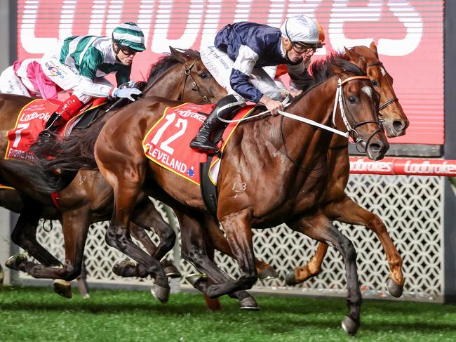 Cleveland (IRE) ridden by James McDonald wins the Ladbrokes Moonee Valley Gold Cup at Moonee Valley Racecourse on October 27, 2023 in Moonee Ponds, Australia. (Photo by George Sal/Racing Photos via Getty Images)