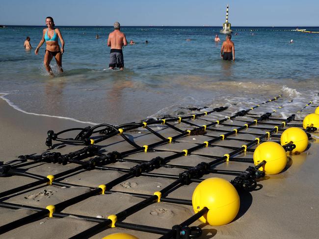 13/12/2019Swimmers swim inside the shark net at Cottesloe Beachpic Colin Murty The Australian