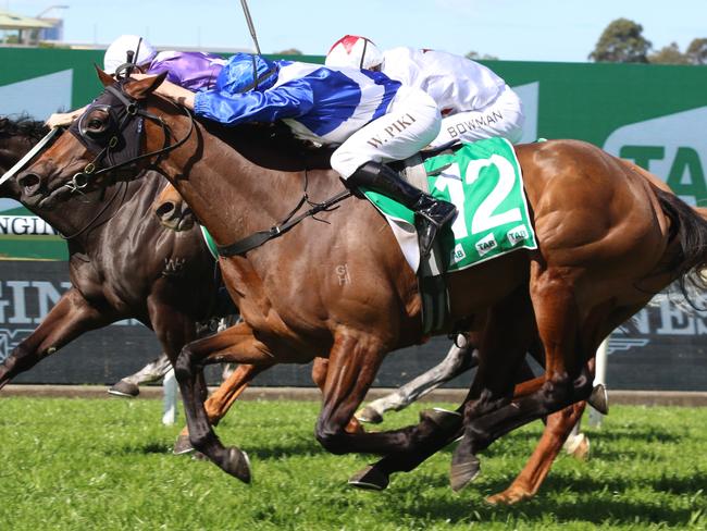 Pink Ivory can overcome the wide barrier and claim victory in the Wagga Wagga Gold Cup on Friday. Picture: Grant Guy