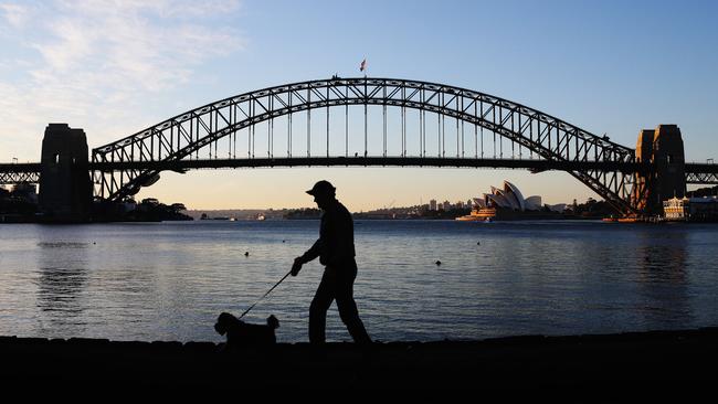 Blues Point Reserve has a spectacular view of the Harbour Bridge. Picture: Braden Fastier.