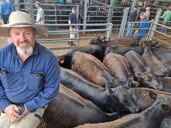 Dave Mackrell, Burnside at Strathbogie, was one of just two vendors to receive a premium for heifer weaners at Euroa today. His pen of 25 calves, tops of the drop with none retained, sold for $1110 to make 310c/kg after two buyers had a bidding duel. Most heifer weaners at Euroa made from 220c/kg to 250c/kg or $600 to $850.