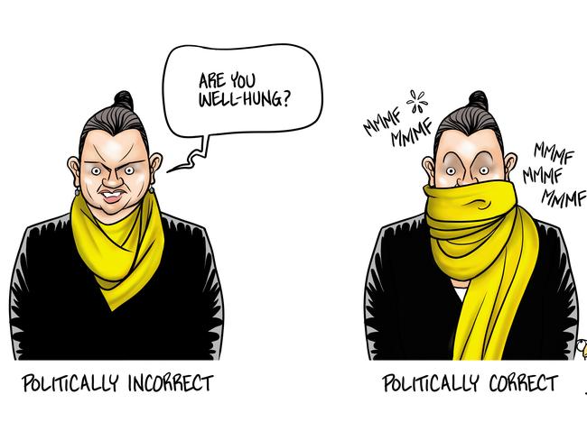 Hobart Mercury cartoon.