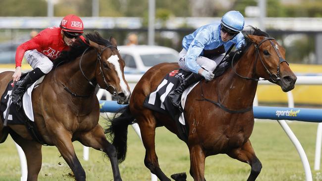 Lady In Pink (right) winning the Group 2 Tristarc Stakes at Caulfield during the spring. Picture: Michael Klein