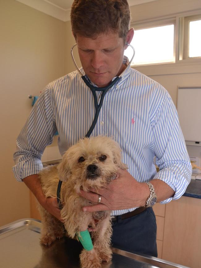 Vet Dr. Andrew Cornwell has warned dog owners about being vaccinated against parvovirus. Supplied.