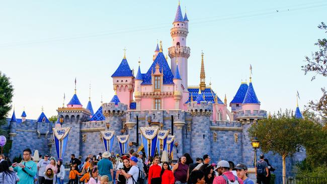 Geelong would be perfect for the Magic Kingdom, say local tourism experts.