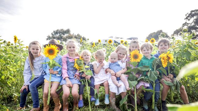 Even the kids are getting involved at Surf Coast Sunflowers. Picture: Nicole Cleary