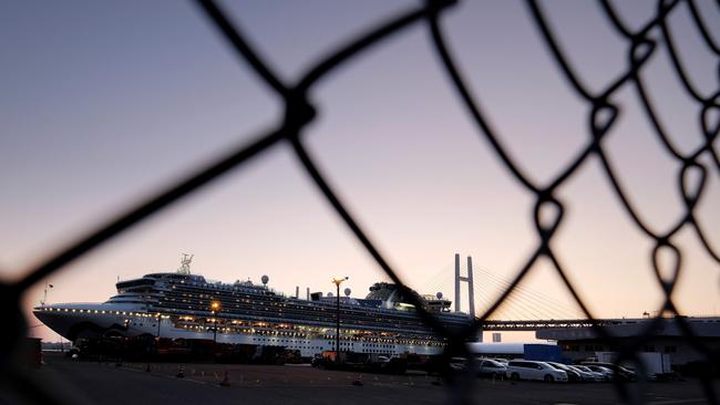 The Diamond Princess cruise ship, where hundreds of passengers were recently infected with COVID-19. Photo: Kazuhiro NOGI, AFP.