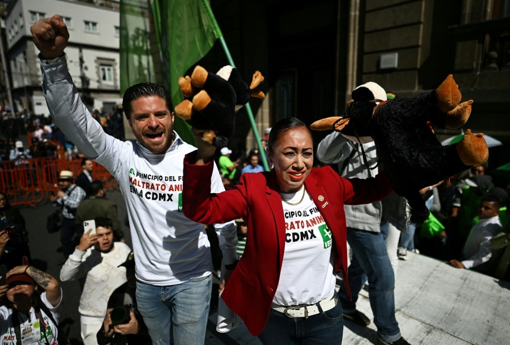 Anti-bullfighting activists celebrate a ban on killing or wounding the animals in Mexico City