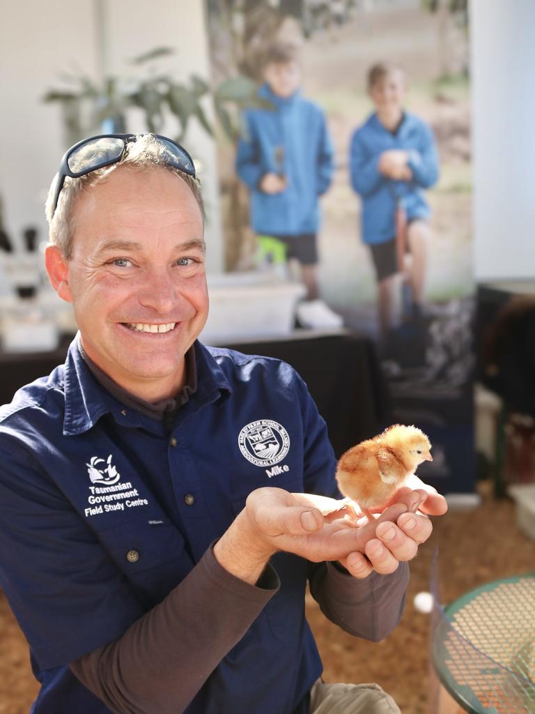 Agfest 2024: Hagley Farm School field study centre worker Mike Tyson with a young chick. Picture: Stephanie Dalton
