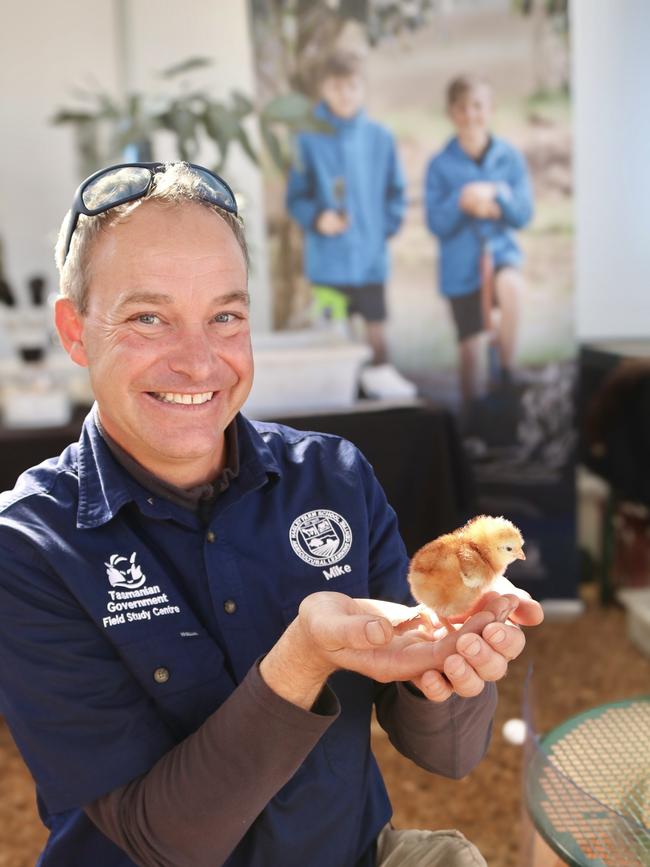 Agfest 2024: Hagley Farm School field study centre worker Mike Tyson with a young chick. Picture: Stephanie Dalton