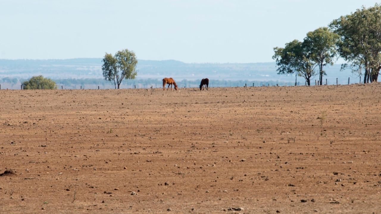 Rain brings hope to drought ravaged NSW