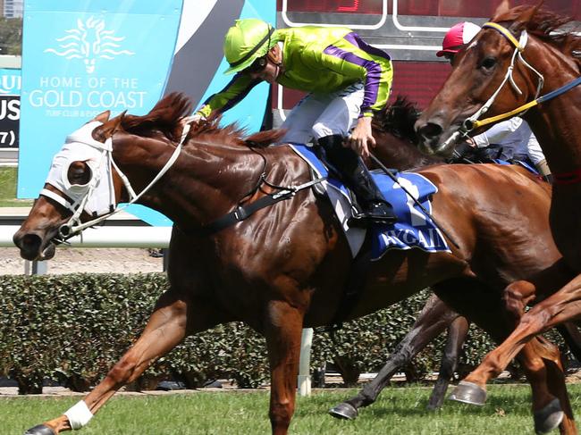 Race meeting at the Gold Coast Turf Club.  Race 3 Winner no1 Mandela Dreaming ridden by Jackson Murphy. Picture Mike Batterham