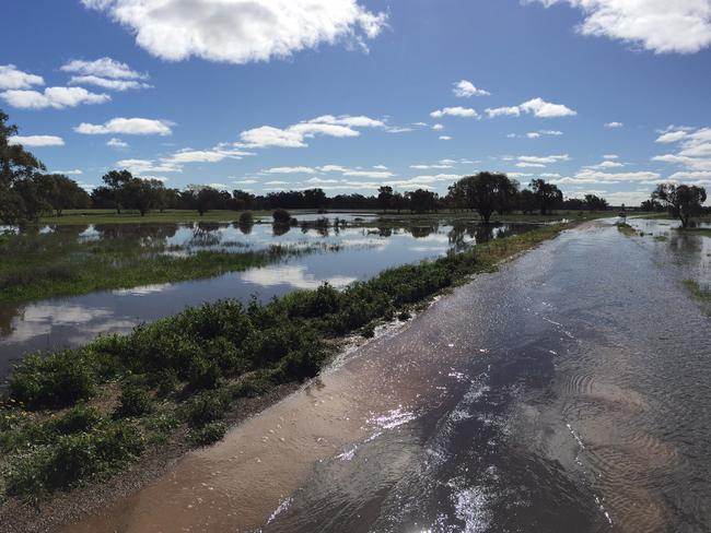 Flood water at a property east of Condobolin.