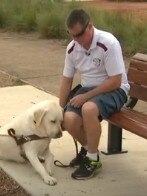 Mr Gearin has expressed some sympathy for his attacker following the ‘unfortunate’ events. Picture: 7 News