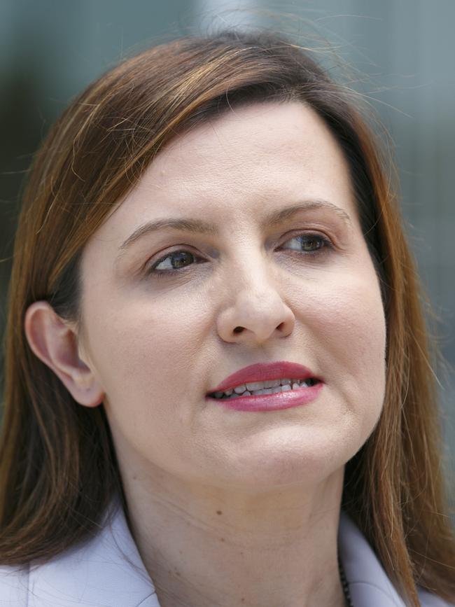 NSW Labor planning minister Tania Mihailuk described the rate of development as ‘grossly unfair’. Picture: Tim Pascoe