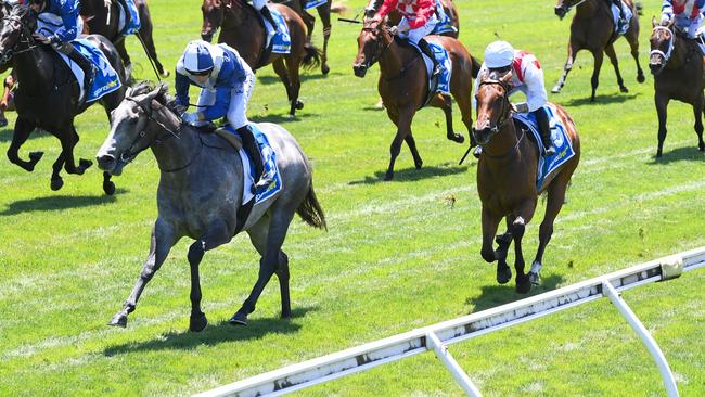 Price Tag (right, white cap), pictured running home second behind My Gladiola in the Blue Diamond Fillies Preview at Sandown on January 25, is the favourite for Saturday’s Inglis Millennum at Royal Randwick. Picture: Pat Scala / Racing Photos