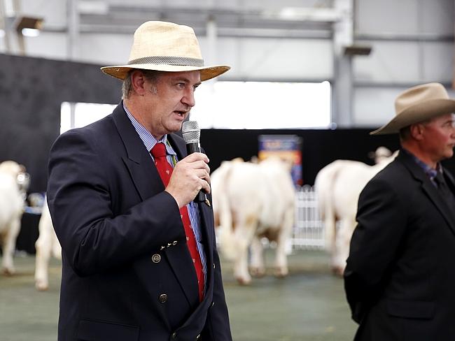 Royal Melbourne Show cattle judging | The Weekly Times