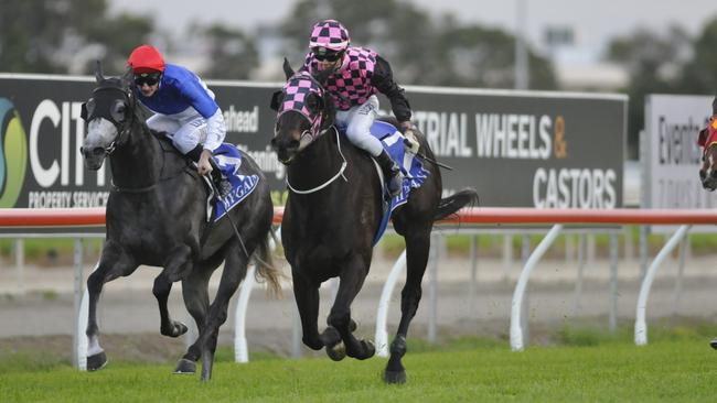 Grobbelaar won Class 1 Sprintquip Handicap (1400m) on the Gold Coast on Saturday, September 17. Picture credit: Jessica Hawkins, Trackside Photography.