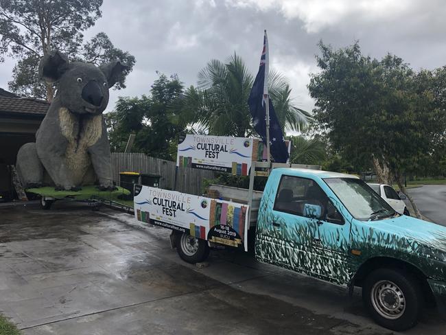 The koala that's been stopping traffic in Bellbowrie.