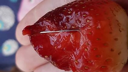 Cairns mother Samantha Gray says she found a needle in a strawberry she bought from a local supermarket. PICTURE Samantha Gray