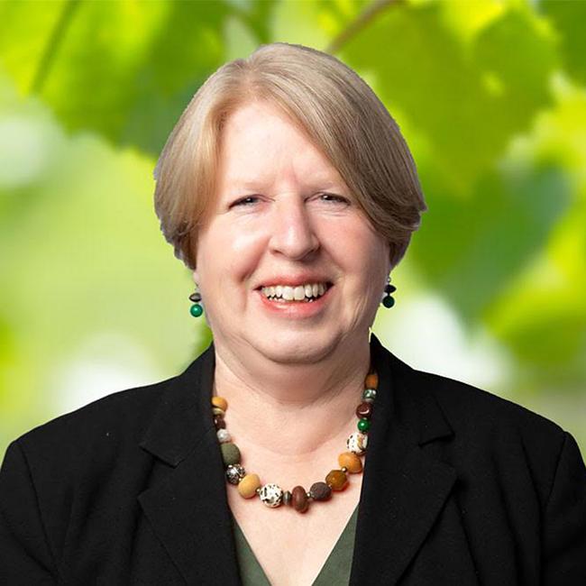 Clarence City Council alderman Beth Warren for the Mercury