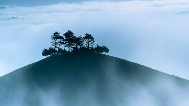 Long exposure captures mist rolling around Colmer’s Hill in Dorset, UK, enhancing its ethereal beauty within the area’s natural beauty. Picture: Scott Macintyre/IGPOTY