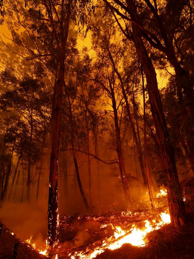 Terrifying scenes as fires rip through an area between Bemm River and Cann River. Picture: Darrian Traynor/Getty Images